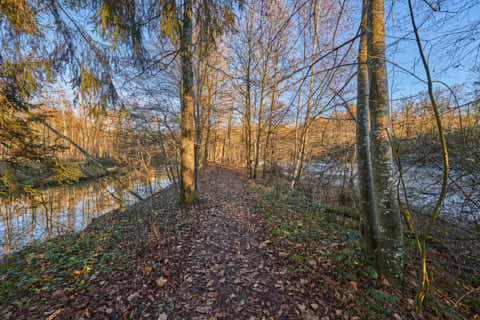 Gemeinde Eggenfelden Landkreis Rottal-Inn Gern Lichtlberger Wald (Dirschl Johann) Deutschland PAN